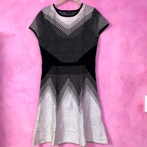 Society NewYork contrast slimming A-line sweater dress polka dots classic office